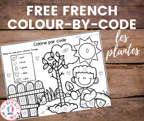 Check out this blog post to download a FREE colour-by-code French worksheet with a plants theme