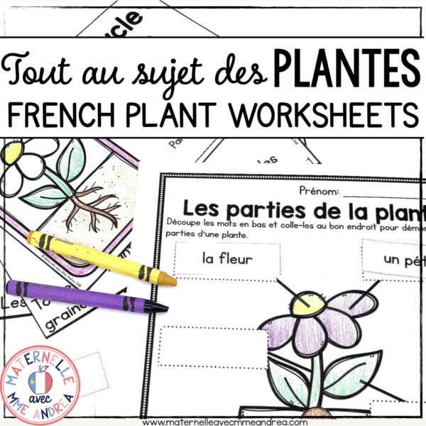 FRENCH Plants Worksheets and Activities - Les plantes