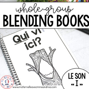 FRENCH I Vowel Sound Whole-Group Blending Book - Ii Vowel - Digital and Printable
