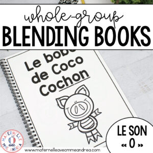 FRENCH Vowel Sounds - Oo - Blending Book