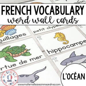 Vocabulaire d'hiver  Vocabulary cards, Word wall, Classroom