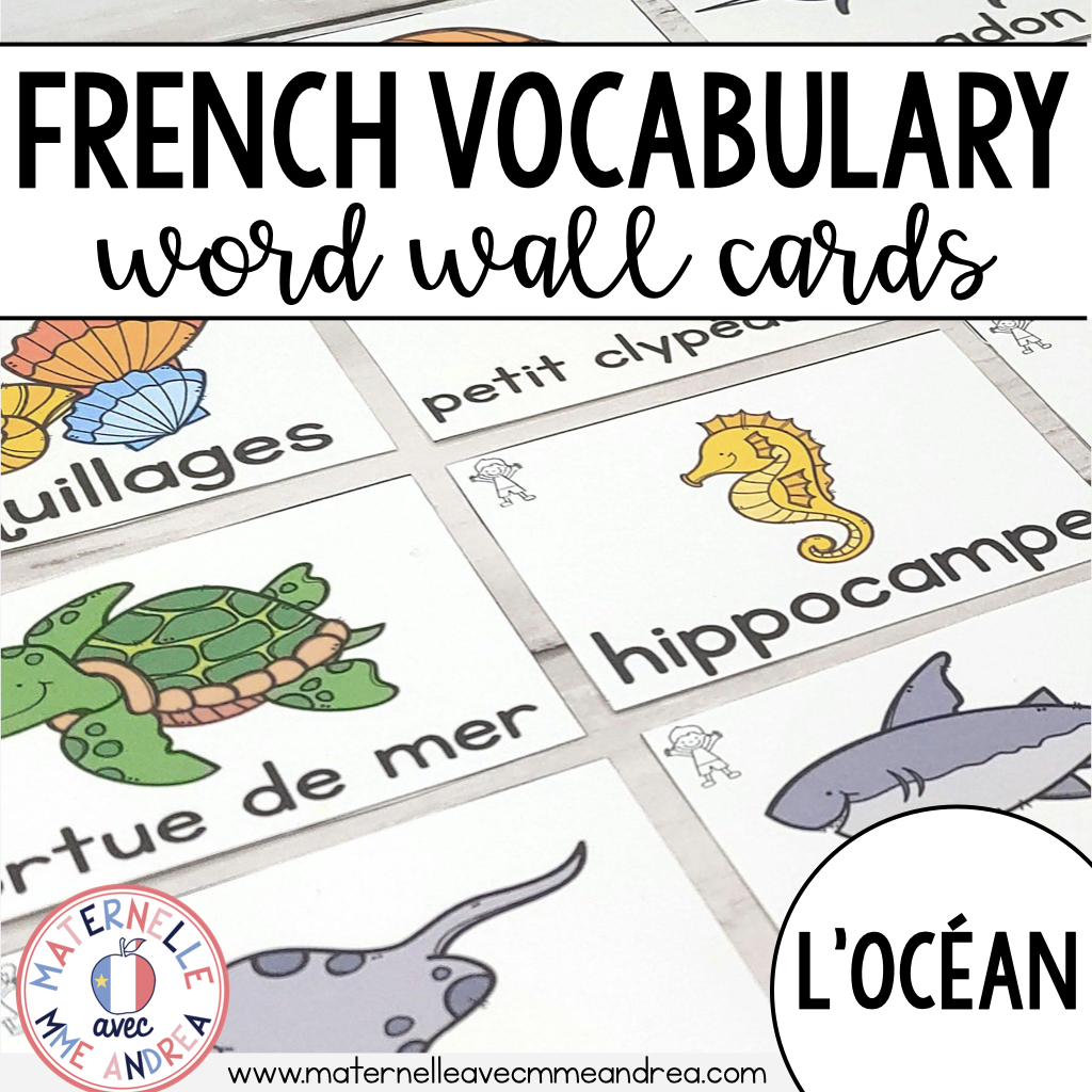 French Vocabulary Cards (Ocean) - Cartes de vocabulaire (Océan) -  Enseignons Ensemble