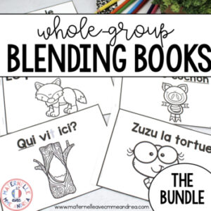 FRENCH Vowels Blending and Decodable Books BUNDLE - Digital and Printable