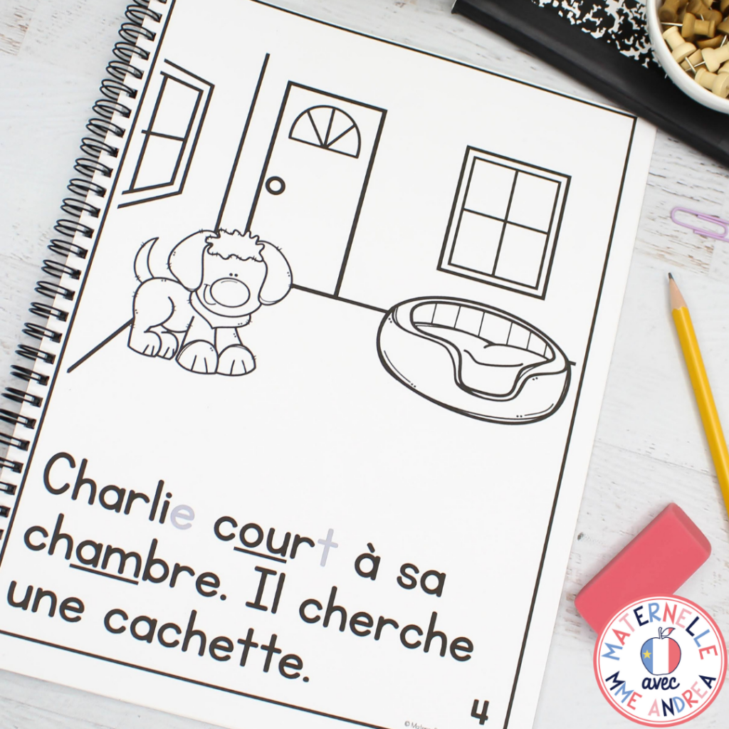 Looking for a way to take your French primary students' reading to the next level? Use these French blending books to effectively teach les sons composés!
